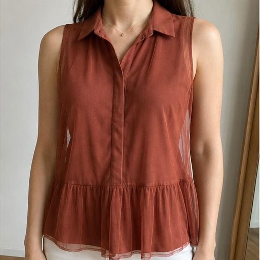 Rust Pleated Blouse - Picture 2 of 6